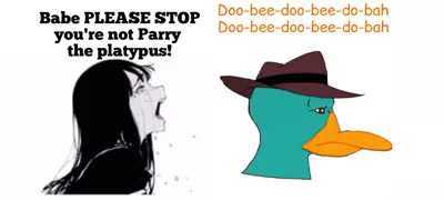 Perry stop