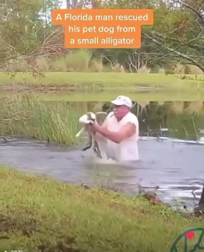 That dog better get all the treats after this experience.