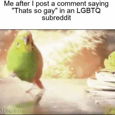 hAha gaY bAd.