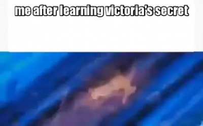 I need to know.......