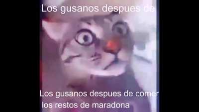 Mi primer video asd