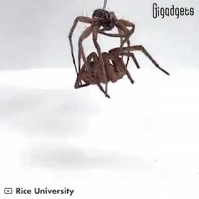 I dont think theirs been a bigger "Nope" on this sub...