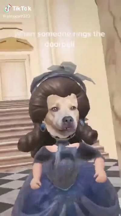 Dog Duties at the palace