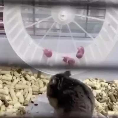 Does this count...?