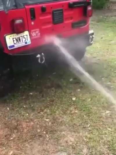 Thats some serious zoomies