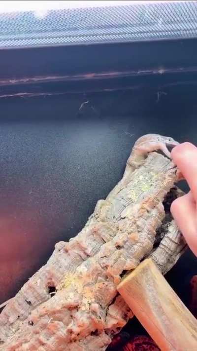 Finger muncher