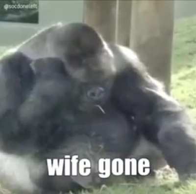 Pyro be like