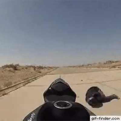 to look cool on your bike