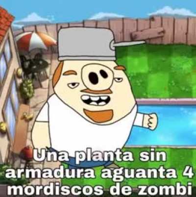 Admiren la