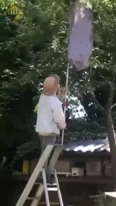 What was this episode called?