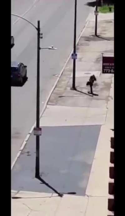 LL: Throwing rocks into traffic can have a harmful outcome