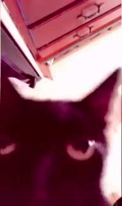 i have to write a paper within 2 hours at 9pm&amp;amp;earlier i overate cuz stress &amp;amp; also had to put up with being around Fred who is very buzzed after seeing his girlfriend. he takes it personal if you dont just play along. it sucks becoming a broke adul