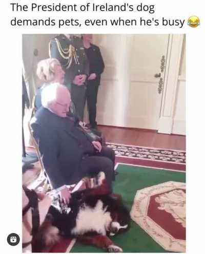 Royal puppers need pets too!!
