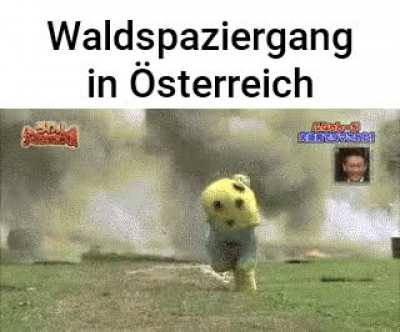 Waldspaziergang in &Ouml;sterreich