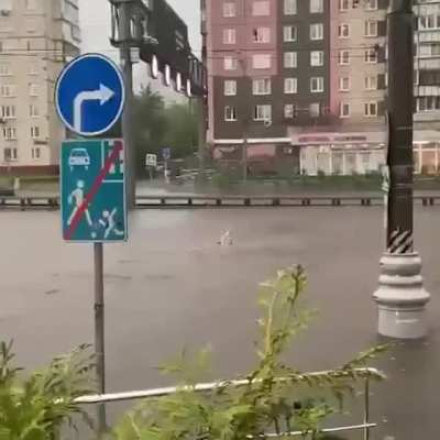 When you street is one big open pool