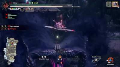This is why I LOVE the INSECT GLAIVE