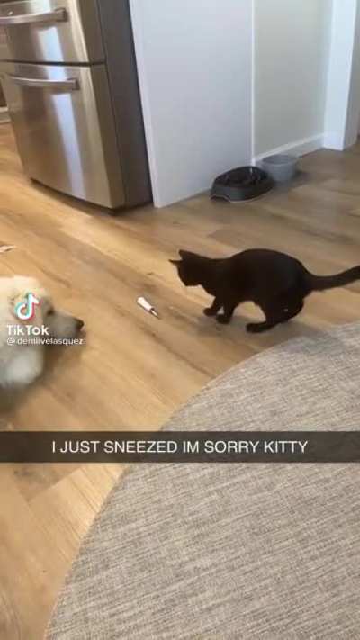 perfectly cut screams