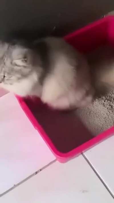 Guy eats shit