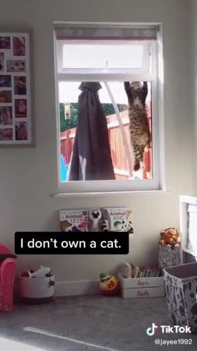 Maybe maybe maybe