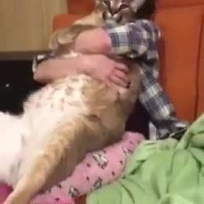 Blatant repost