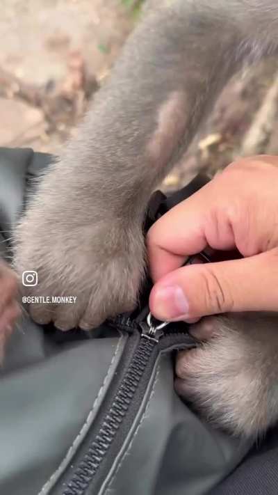 just let me see what&rsquo;s inside