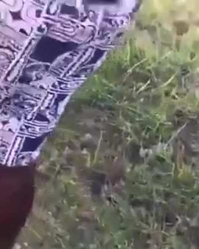 *gasp*