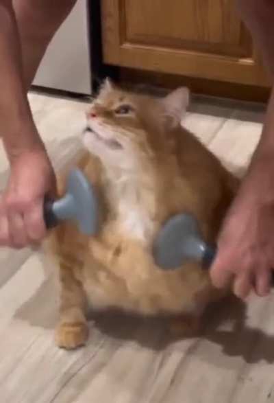 Loaf likes it
