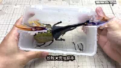 When the Mechanicus gets their hands on a Tyranid sample.