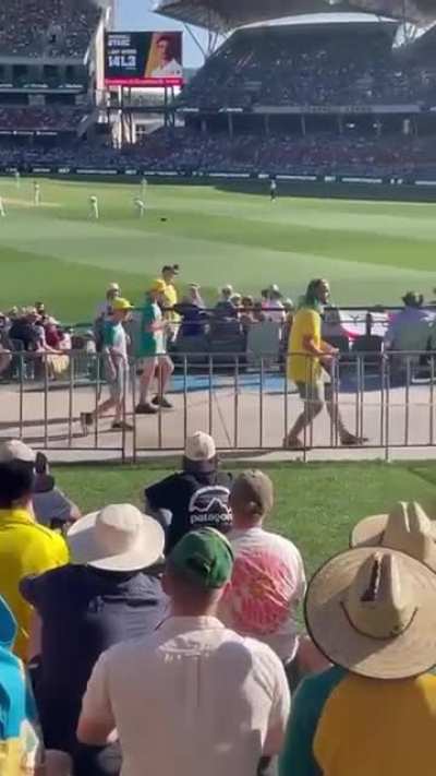 Guy at the cricket makes the crowd freakout