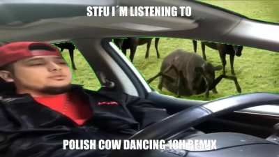Gdzie jest biały węgorz?