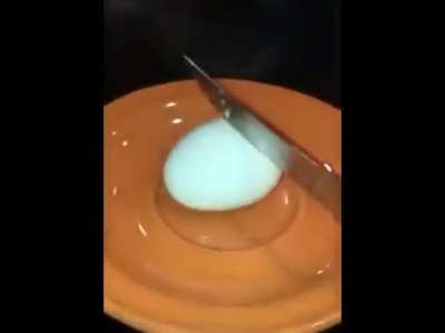 Ahh, a nice day for a nice egg!