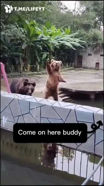 Эй, слышышь, сюда кидай!