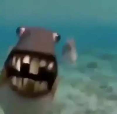 ?