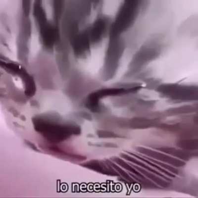It&rsquo;s all real sad boy hours again