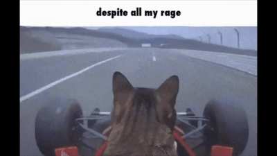 I am still just a cat in a race (homemade. song is Arbormyth by Jam2Go)