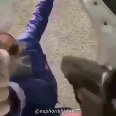 Perdeu