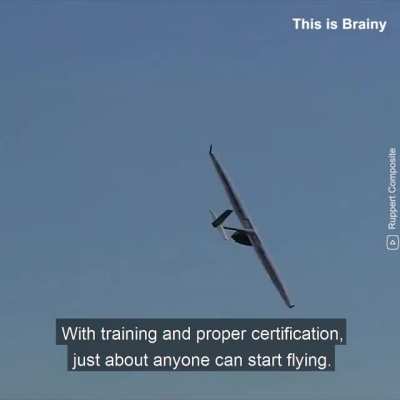 Is it a bird? is it a plane?