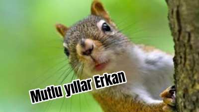 Doğum G&uuml;n&uuml;n Kutlu Olsun