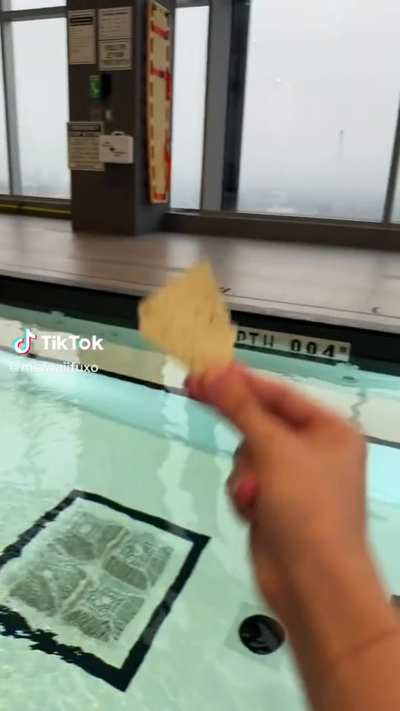 not in the pool!