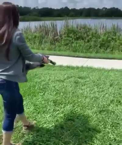 Fast turtle