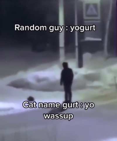 The cat&rsquo;s name is gurt
