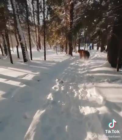 Routine view shot
