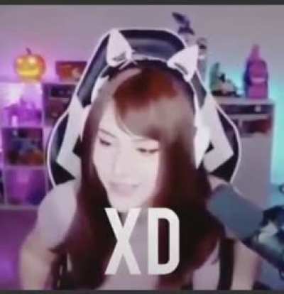 XD