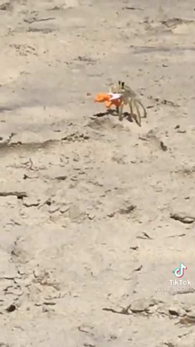 Cheeto