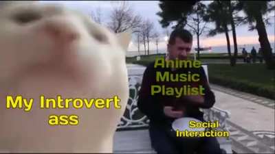 Please Don't Talk to Me