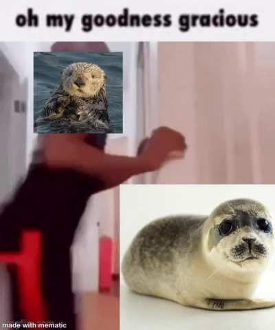 Otters Rule