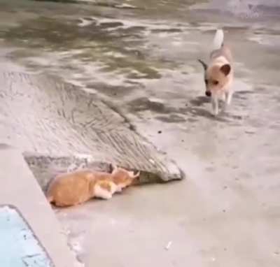 Next level friendship