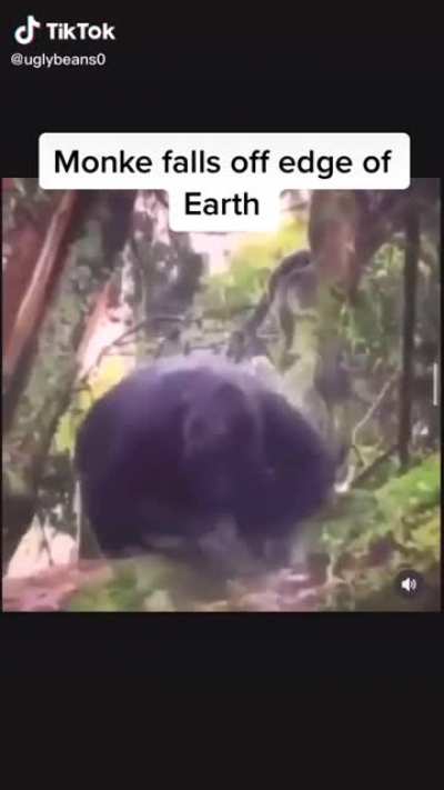 Omg 😱 proof the earth is flat