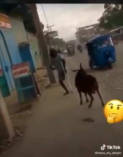 Now you ain&rsquo;t got a leg to stand on..