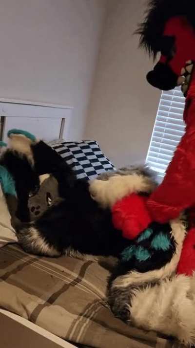 Rough doggy is 🥴